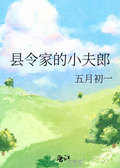 县令家的小夫郎封面