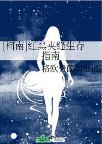 红黑夹缝生存指南封面