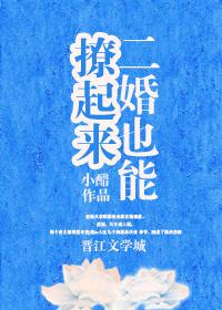 二婚也能撩起来封面