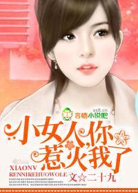 小女人,你惹火我了封面