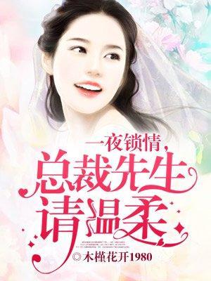 一夜锁情，总裁先生请温柔封面