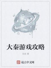 大秦游戏攻略封面