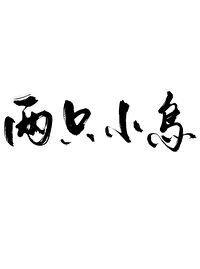 两只小鸟封面