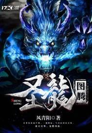 圣龙图腾封面
