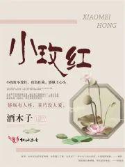 小玫红封面