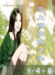 恋上调皮拽丫头封面