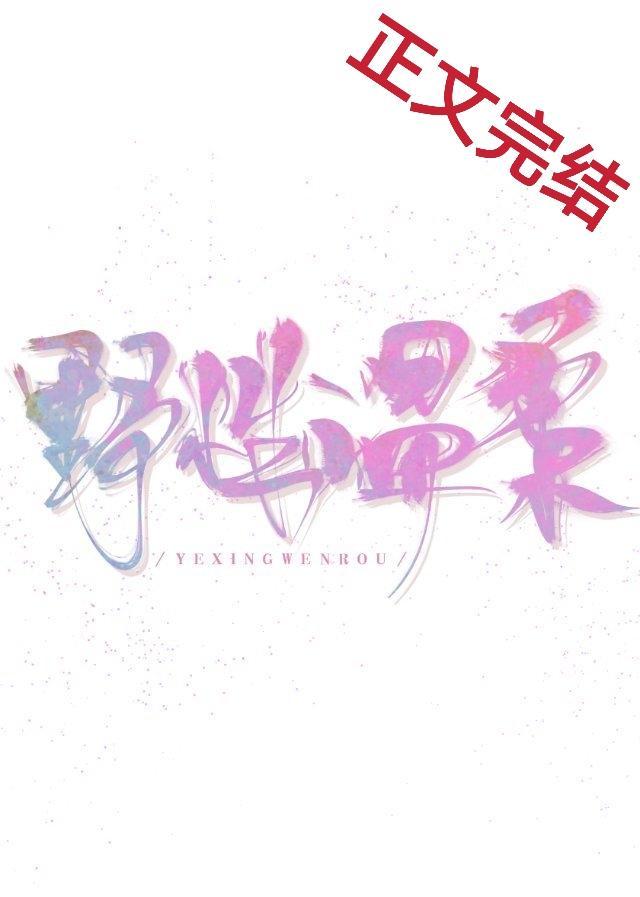 野性温柔封面