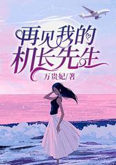 沐如雪沈少卿封面