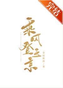 乘风登玉京封面