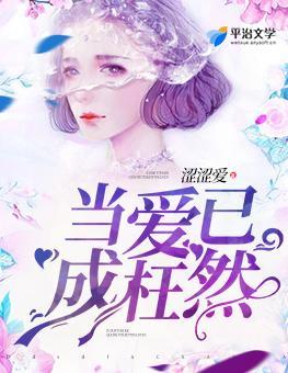 当爱已成枉然封面