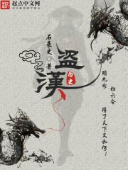 盗汉封面