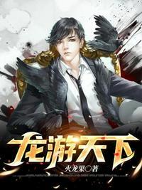 龙游天下封面