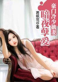 豪门冷少擒妻：暗夜孽爱封面