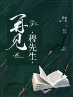 再见,穆先生封面