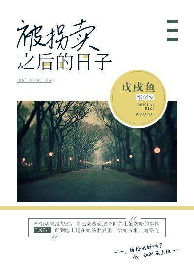 被拐卖之后的日子封面