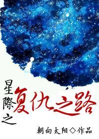 星际之覆仇之路封面