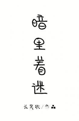 暗裏着迷封面