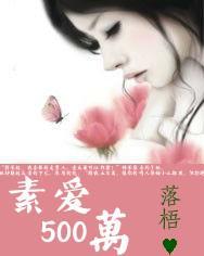 花心总裁从良记:素爱500万封面