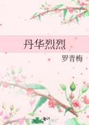 丹华烈烈封面