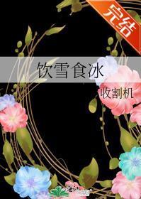 饮雪食冰封面