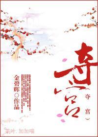 夺宫封面