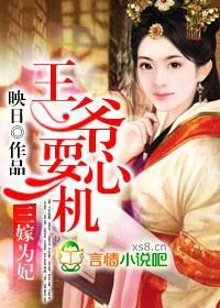 三嫁为妃，王爷耍心机封面