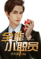 全能小职员封面