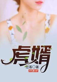 虎婿封面