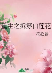 重生之拆穿白莲花封面