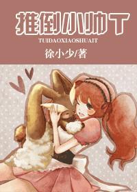 推倒小帅T封面