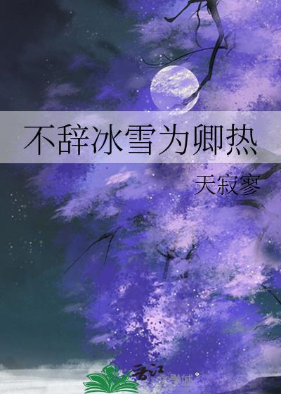 不辞冰雪为卿热封面