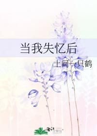 当我失忆后封面