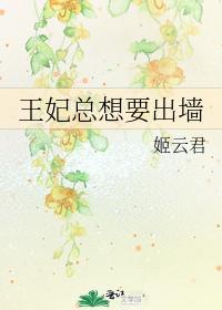 王妃总想要出墻封面