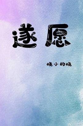 遂愿封面