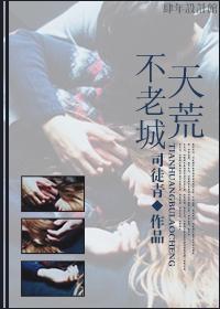 天荒不老城封面