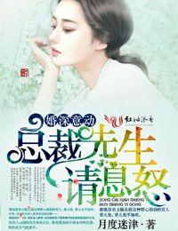 婚深意动，总裁先生请息怒封面