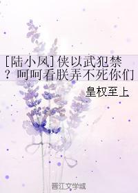 [陆小凤]侠以武犯禁？呵呵看朕弄不死你们封面