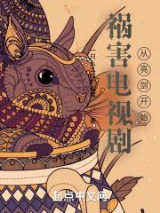 祸害电视剧从亮剑开始封面
