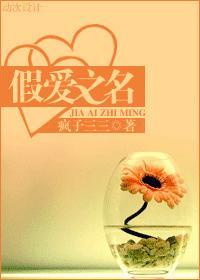 假爱之名封面