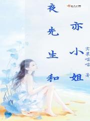 甜小姐与冷先生封面