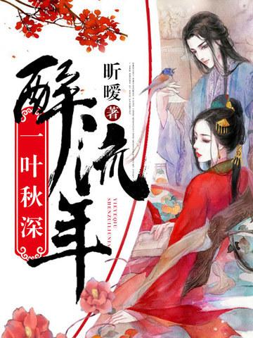 一叶秋深醉流年封面