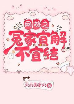 网游之冤家宜解不宜结封面