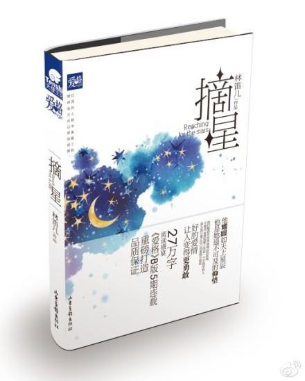 摘星封面