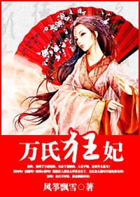 万氏狂妃封面