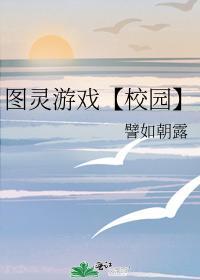 图灵游戏【校园】封面