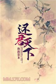 还君天下封面