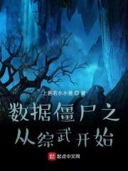 数据僵尸之从综武开始封面