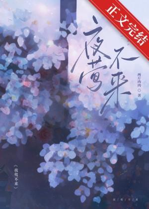 夜莺不来封面