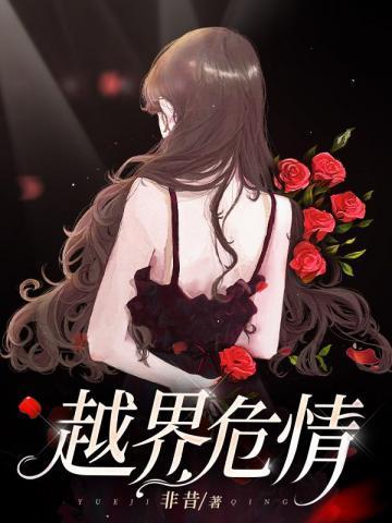 越界危情封面
