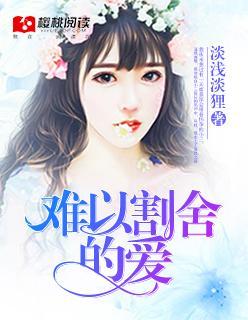 难以割舍的爱封面